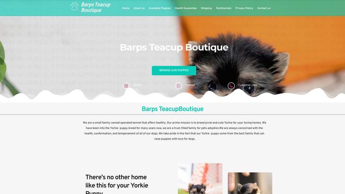 Barpsteacupboutique.com - Yorkshire Terrier Puppy Scam Review