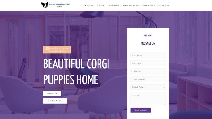 Beautifulcorgipuppieshome.com - Corgi Puppy Scam Review