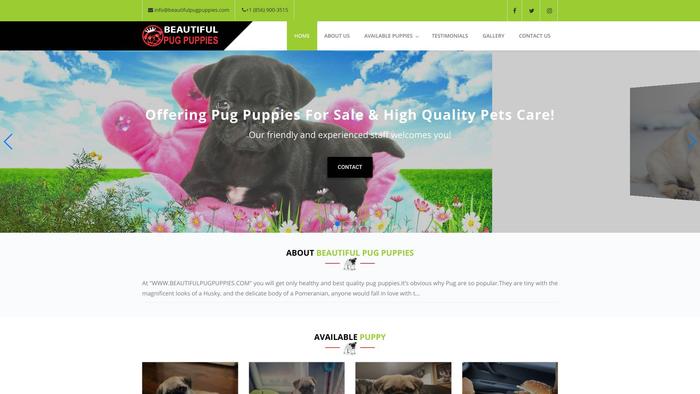 Beautifulpugpuppies.com - Pug Puppy Scam Review