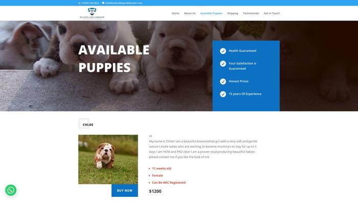 Bestbulldogandlabrador.com - Labrador Puppy Scam Review