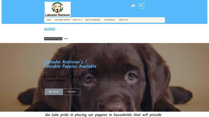 Bestlabradorretrieverpuppies.com - Golden Retriever Puppy Scam Review