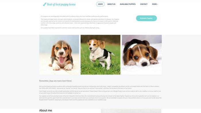 Bestofbestpuppyhome.com - Beagle Puppy Scam Review