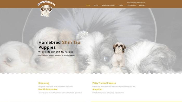 Bestshihtzupuppies.info - Shihtzu Puppy Scam Review