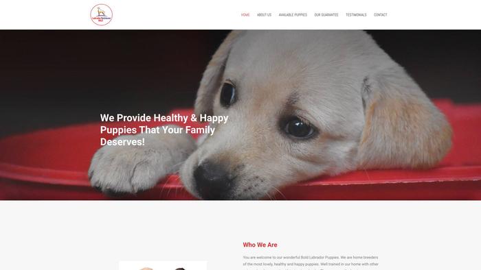 Boldlabradorretriever.com - Golden Retriever Puppy Scam Review