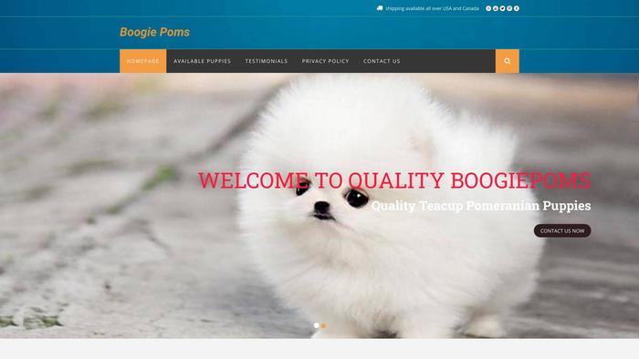 Boogiepoms.com - Pomeranian Puppy Scam Review