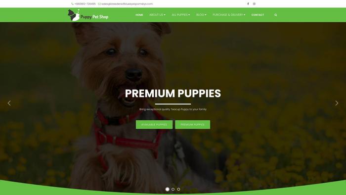 Breedersofblueeyespomskys.com - Pomeranian Puppy Scam Review