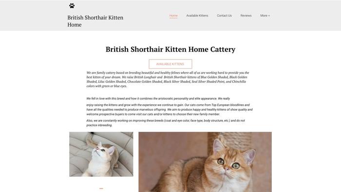 Britishshorthairkittenhomecattery.com - British Shorthair Puppy Scam Review