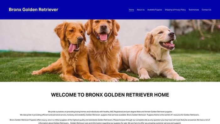 Bronxgoldenretrieverhome.com - Golden Retriever Puppy Scam Review