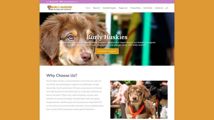 Burlyhuskies.com - Husky Puppy Scam Review