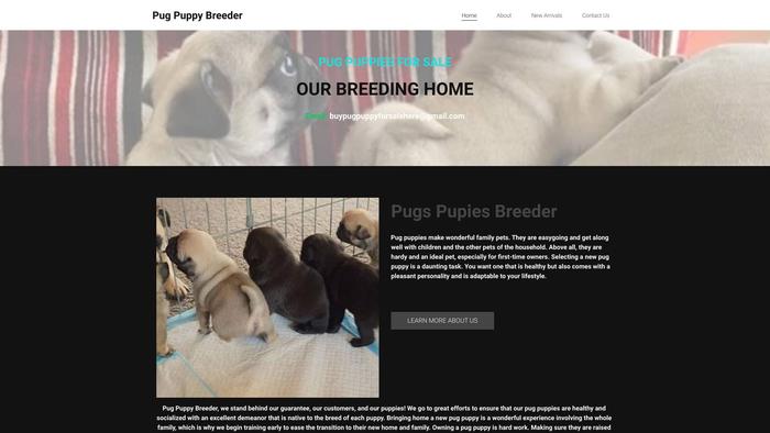 Buypugpuppyforsale.net - Pug Puppy Scam Review