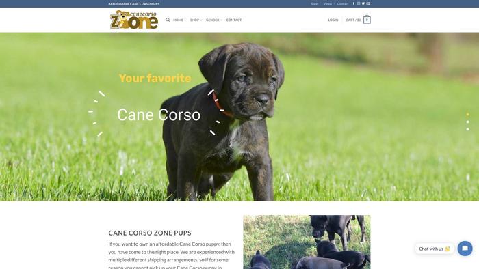 Canecorsozone.com - Cane Corso Puppy Scam Review