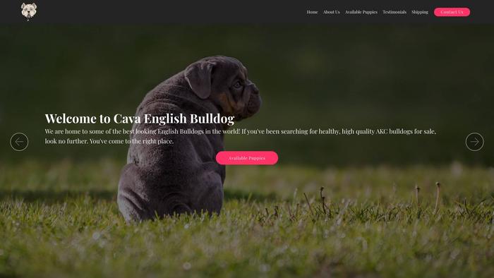 Cavaenglishbulldog.com - English Bulldog Puppy Scam Review