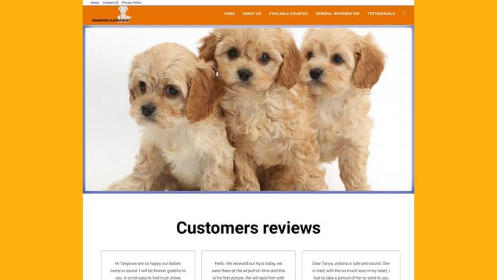 Cavapoopuppiesonline.com - Cavapoo Puppy Scam Review