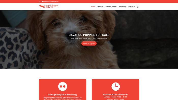 Cavapoopuppiesranch.com - Cavapoo Puppy Scam Review