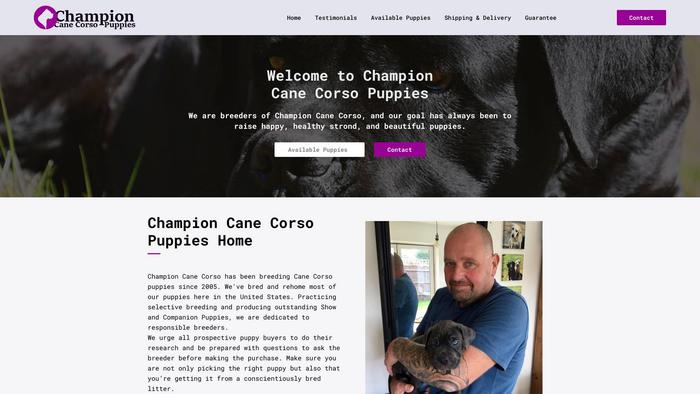 Championcanecorsopuppies.com - Cane Corso Puppy Scam Review