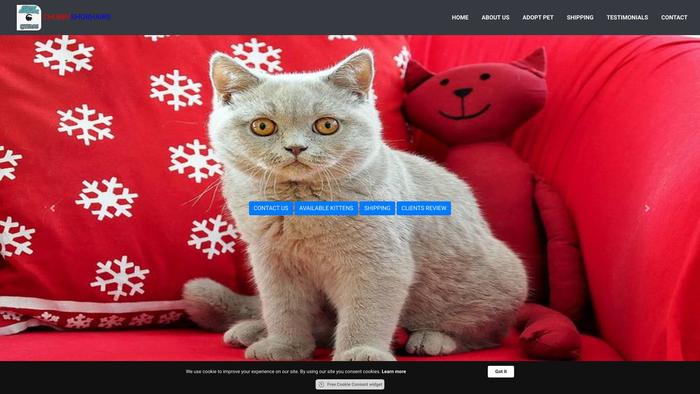 Chubbyshorthairkittens.com - British Shorthair Puppy Scam Review