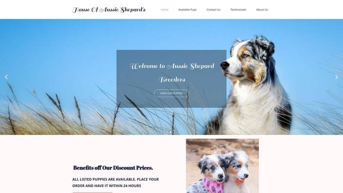 Classicaustralianshepard.com - Australian Shepherd Puppy Scam Review