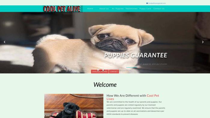 Coolpetlives.com - Pug Puppy Scam Review