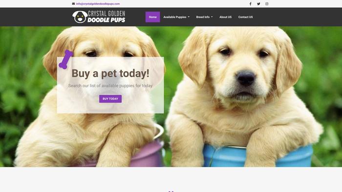 Crystalgoldendoodlepups.com - Golden Doodle Puppy Scam Review