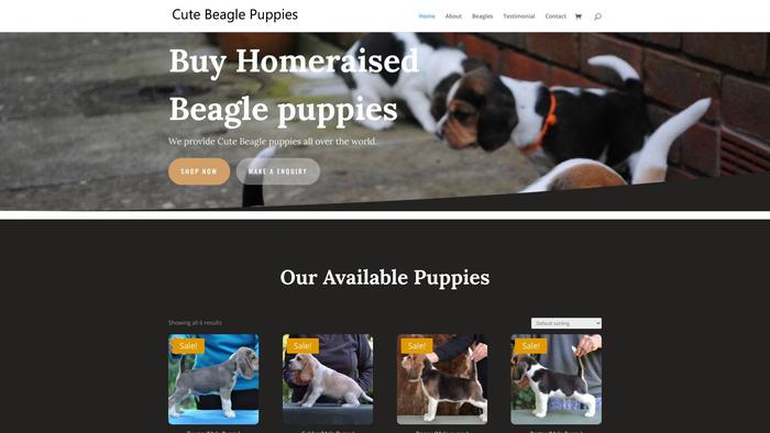 Cutebeaglepuppies.com - Beagle Puppy Scam Review