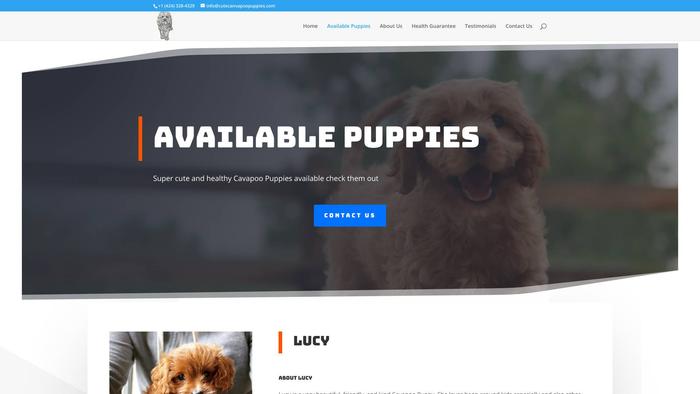 Cutecanvapoopuppies.com - Cavapoo Puppy Scam Review