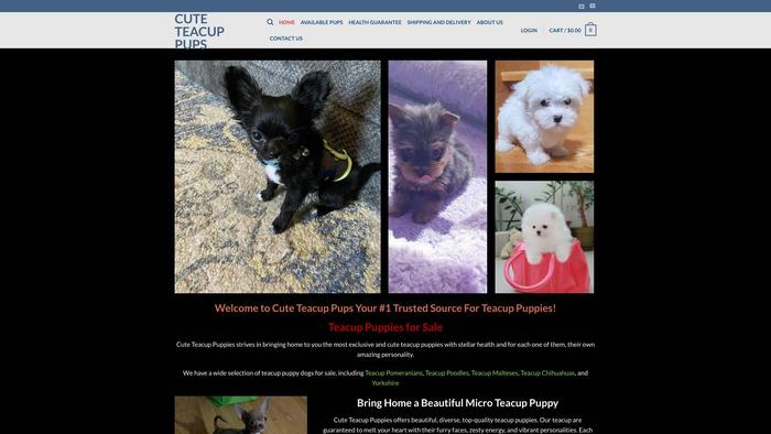 Cuteteacuppups.com - Yorkshire Terrier Puppy Scam Review