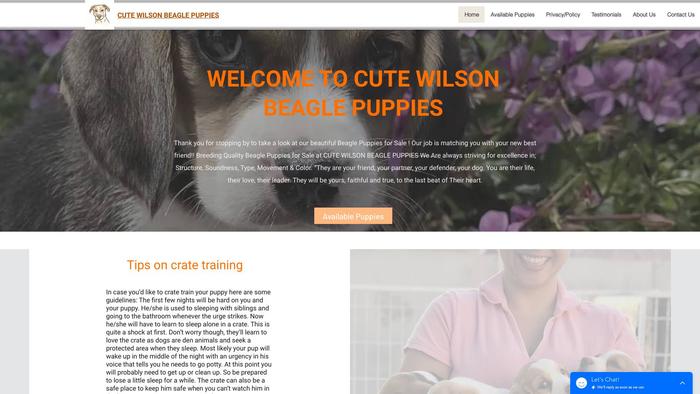 Cutewilsonbeaglepuppies.com - Beagle Puppy Scam Review