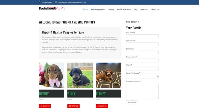 Dachshundamusingpups.com - Dachshund Puppy Scam Review