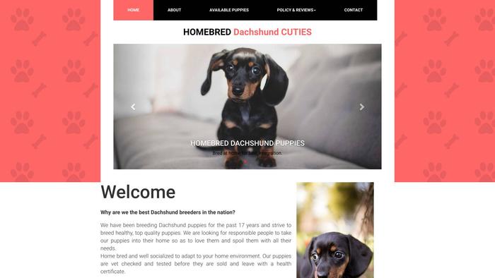 Dachshundbreedingfamily.info - Dachshund Puppy Scam Review