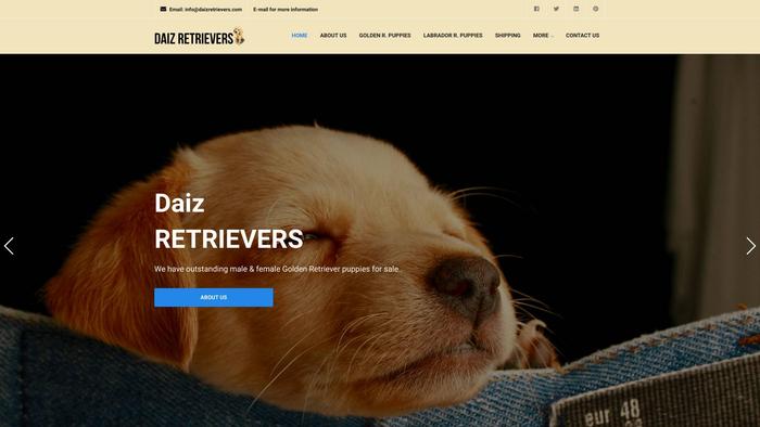 Daizretrievers.com - Golden Retriever Puppy Scam Review