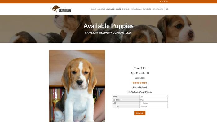 Darlyjoybeaglehome.com - Beagle Puppy Scam Review