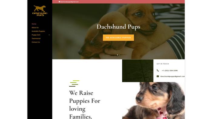 Daschundpupps.com - Dachshund Puppy Scam Review