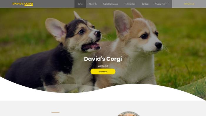 Davidscorgipuppies.com - Corgi Puppy Scam Review