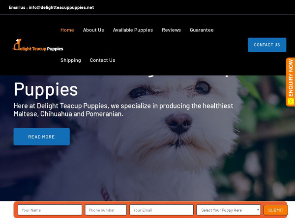 Delightteacuppuppy.com - Chihuahua Puppy Scam Review