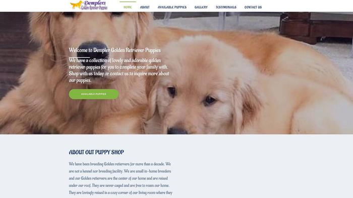 Demplersgoldenretrieverpuppies.com - Golden Retriever Puppy Scam Review