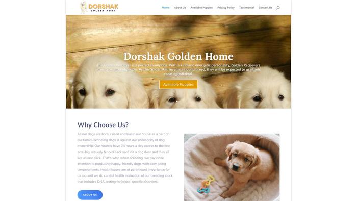 Dorshakgoldenhome.com - Golden Retriever Puppy Scam Review