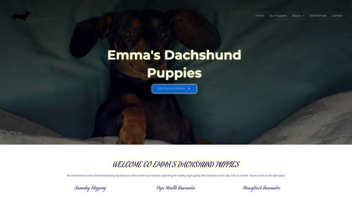 Emmasdachshundpuppies.com - Dachshund Puppy Scam Review