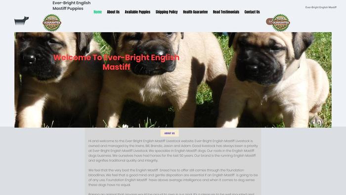 Ever-brightenglishmastiff.com - Tibetan Mastiff Puppy Scam Review