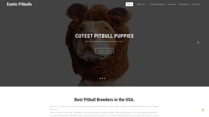 Exoticpitbullpuppies.com - Pit Bull Puppy Scam Review