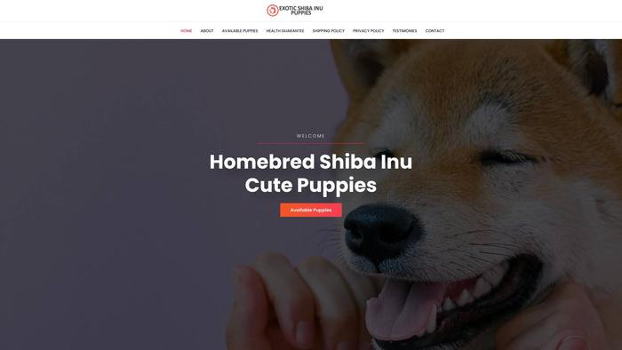 Exoticshibainupuppies.info - Shibhainu Puppy Scam Review