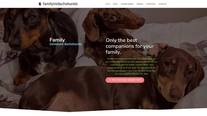 Familyminidachshunds.com - Dachshund Puppy Scam Review