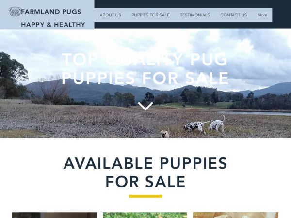 Farmlandpugs.com - Pug Puppy Scam Review