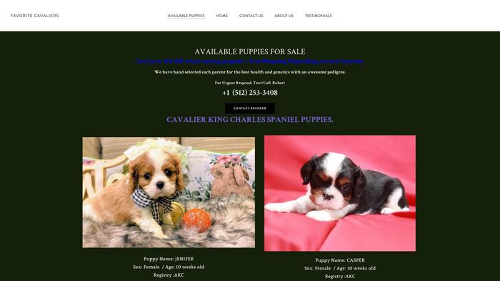 Favoritecavaliers.com - Cavalier King Charles Spaniel Puppy Scam Review