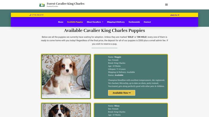 Forestcavalier.com - Cavalier King Charles Spaniel Puppy Scam Review