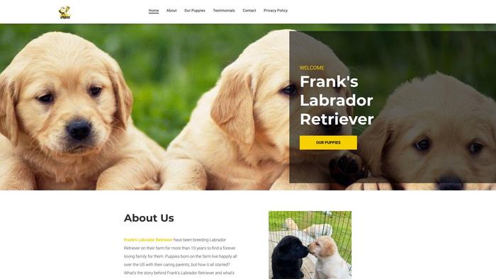 Frankslabradorretriever.com - Golden Retriever Puppy Scam Review