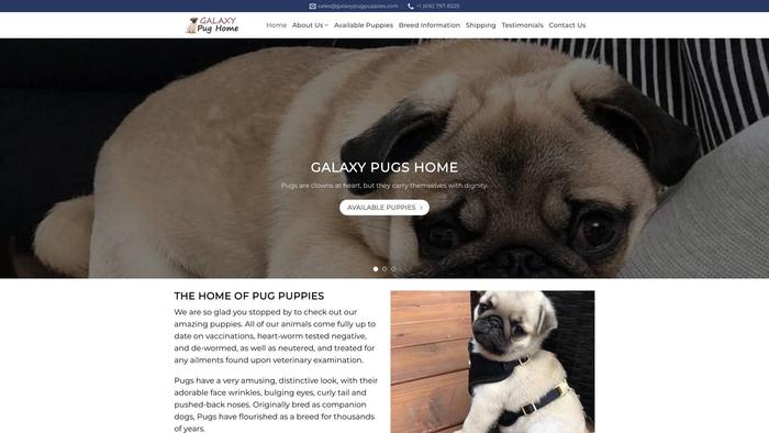 Galaxypugpuppies.com - Pug Puppy Scam Review