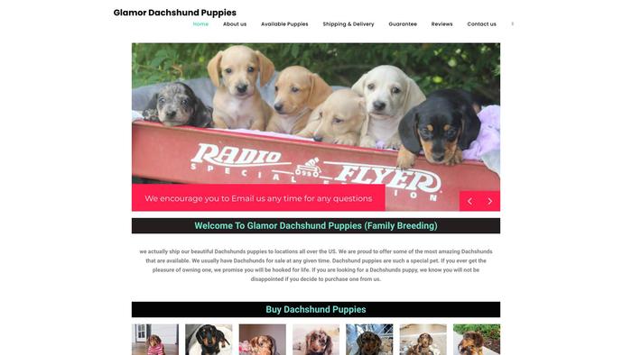 Glamordachshundpuppies.com - Dachshund Puppy Scam Review