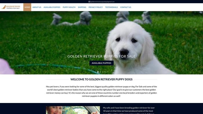 Goldenretrieverpuppydogs.com - Golden Retriever Puppy Scam Review