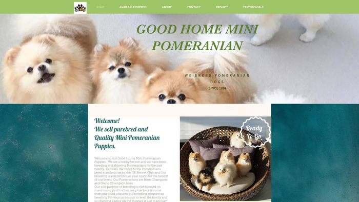 Goodhomeminipomeranian.com - Pomeranian Puppy Scam Review