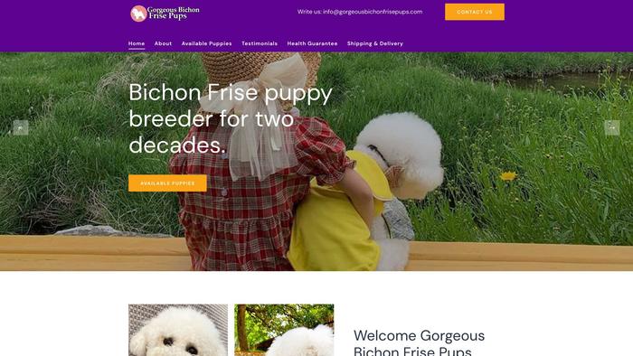 Gorgeousbichonfrisepups.com - Bichon Frise Puppy Scam Review